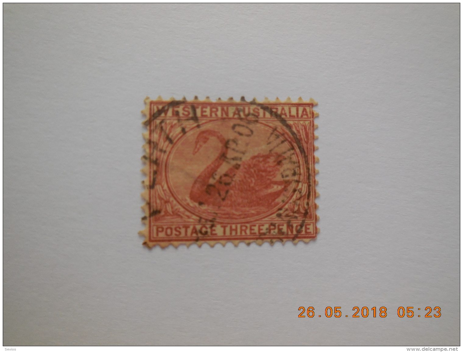 Sevios / Australie / Western Australia / Stamp **, *, (*) Or Used - Used Stamps