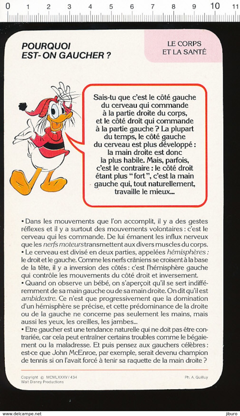 Humour Gaucher Droitier Cerveau Corps Humain écriture Main Gauche Tennis Sport évocation John McEnroe Gaucher 01/D-19 - Other & Unclassified