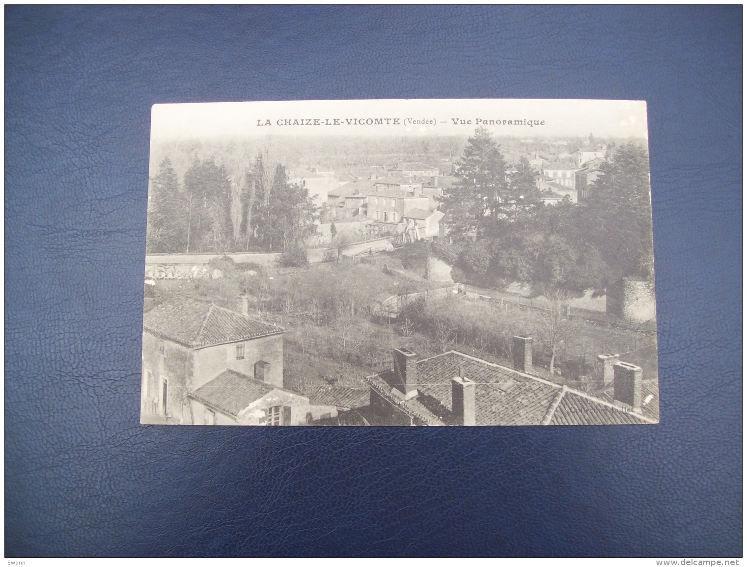 Carte Postale Ancienne De La Chaize-le-Vicomte: Vue Panoramique - La Chaize Le Vicomte