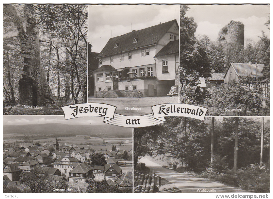 Allemagne - Jesberg Am Kellerwald - Panoramas - Schwalmstadt