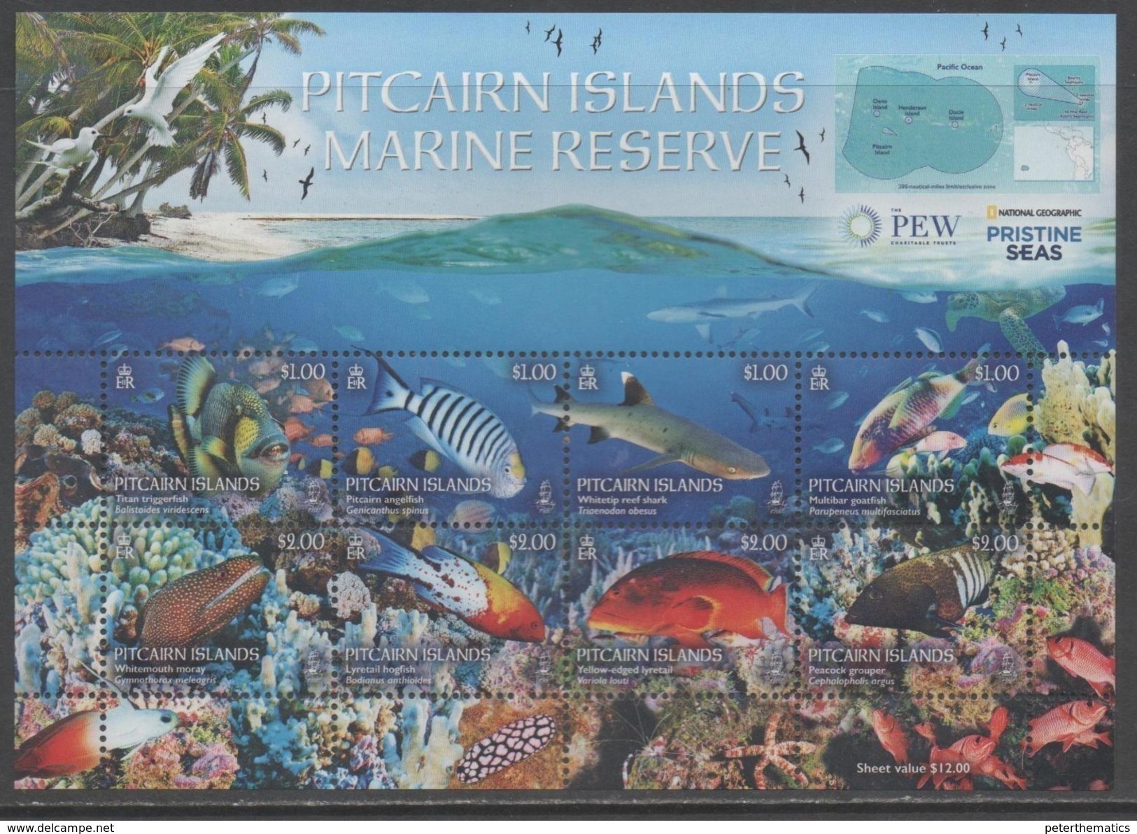 PITCAIRN ISLAND ,2017, MNH, MARINE LIFE, FISH, SHARKS, CORALS, TURTLES, EELS,  SHEETLET - Fishes