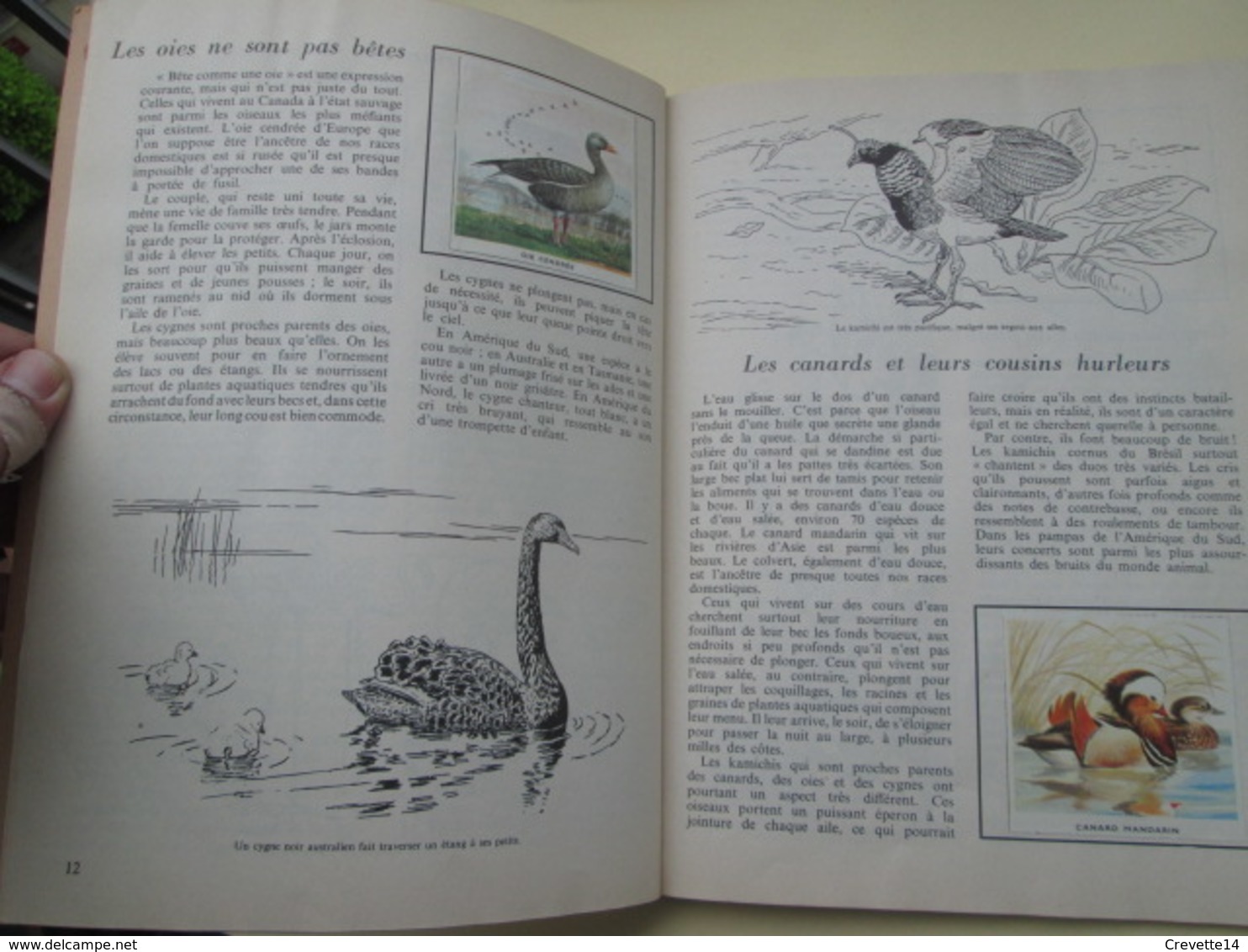 BD2011-3 : ENCYCLOPEDIE PAR LE TIMBRE DE 1957 / OISEAUX DES CINQ CONTINENTS , COMPLET TBE - Encyclopédies