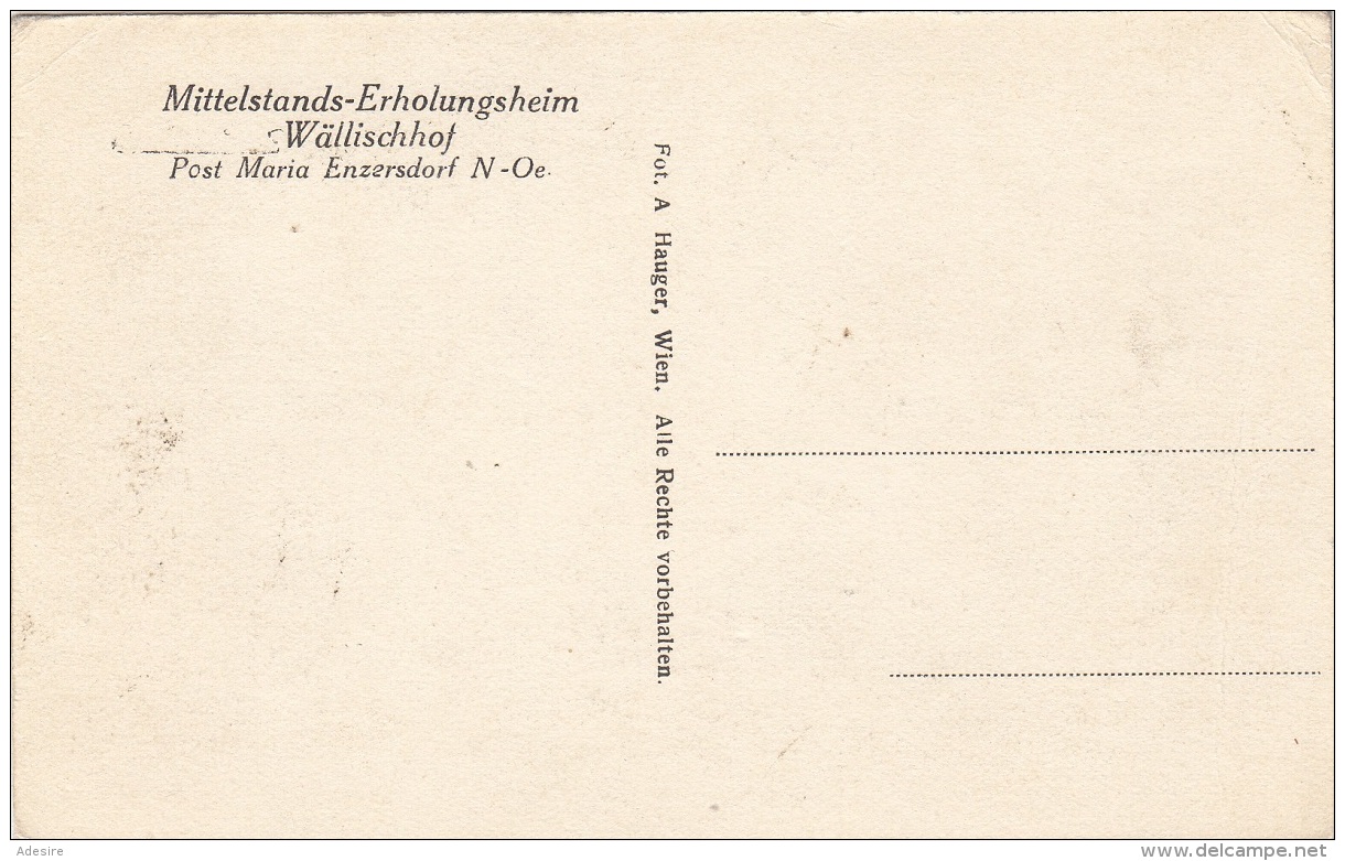 MARIA ENZERSDORF (NÖ) - Mittelstands-Erholungsheim Wällischhof, Gel.1909, Sehr Seltene Schöne Karte, Gute Erhaltung - Maria Enzersdorf