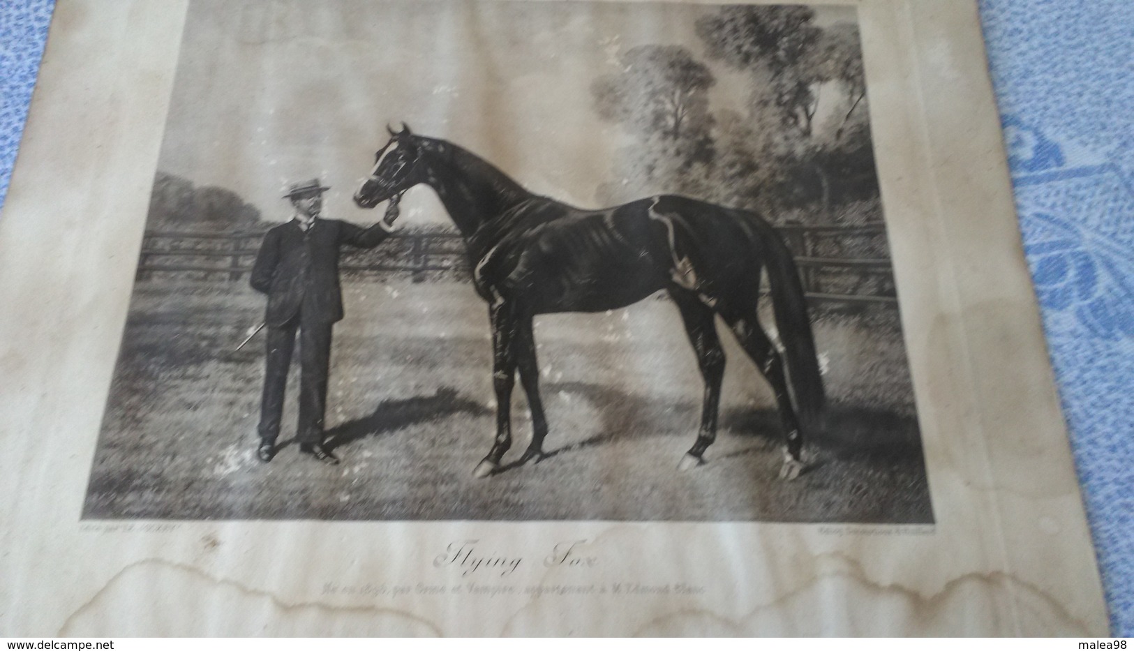 PHOTO  DE "   FLYING  FOX "  NE EN 1896  PAR  " ORME Et   VAMPIRE  "    APPARTENANT  A   M   EDMOND  BLANC - Hipismo