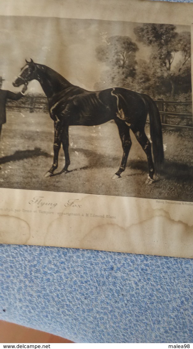 PHOTO  DE "   FLYING  FOX "  NE EN 1896  PAR  " ORME Et   VAMPIRE  "    APPARTENANT  A   M   EDMOND  BLANC - Hipismo