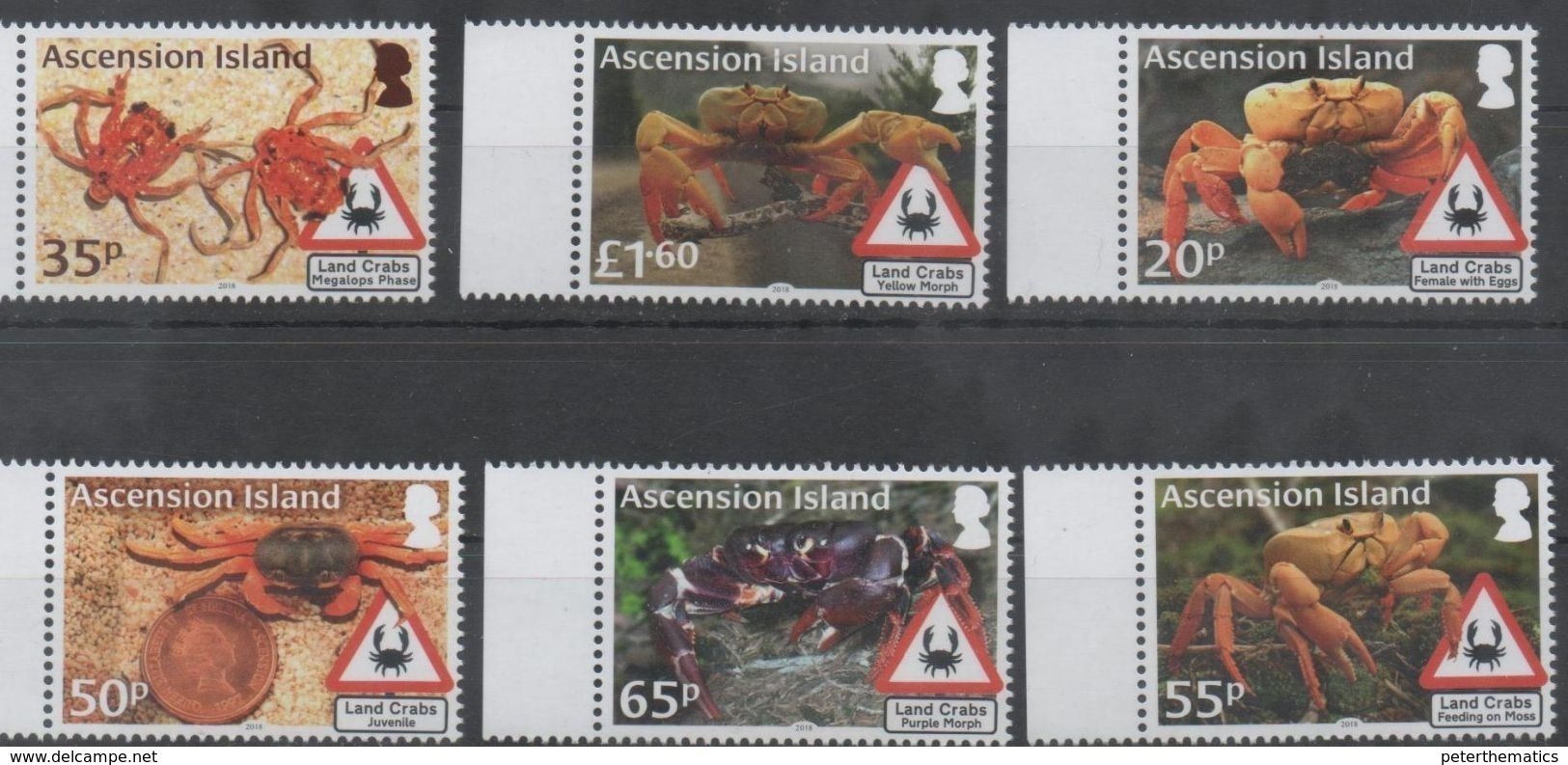 ASCENSION , 2018, MNH, MARINE LIFE, CRABS, LAND CRABS, 6v - Crustaceans