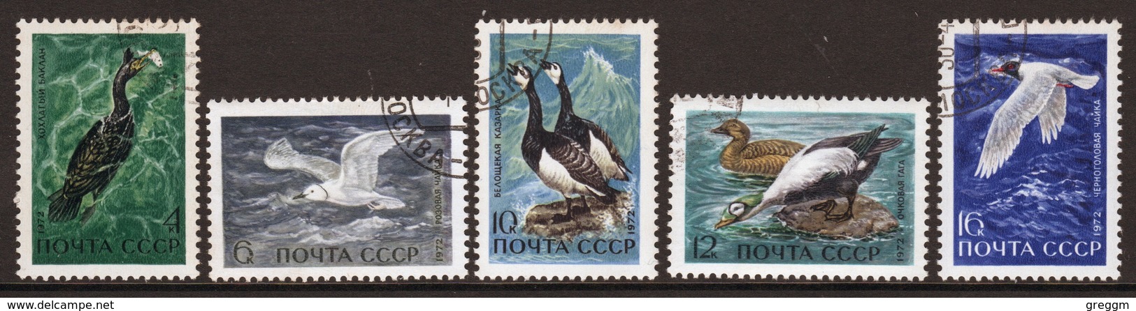 Russia Set Of Stamps Depicting Sea Birds From 1972. - Other & Unclassified