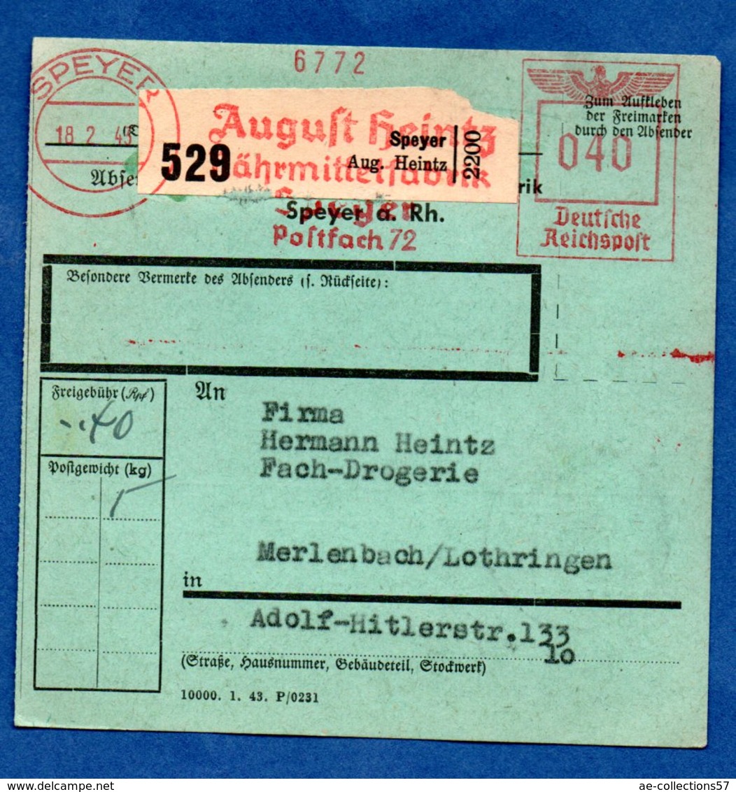 Allemagne  - Colis Postal Départ Speyer  -  18/2/1943 - Cartas & Documentos