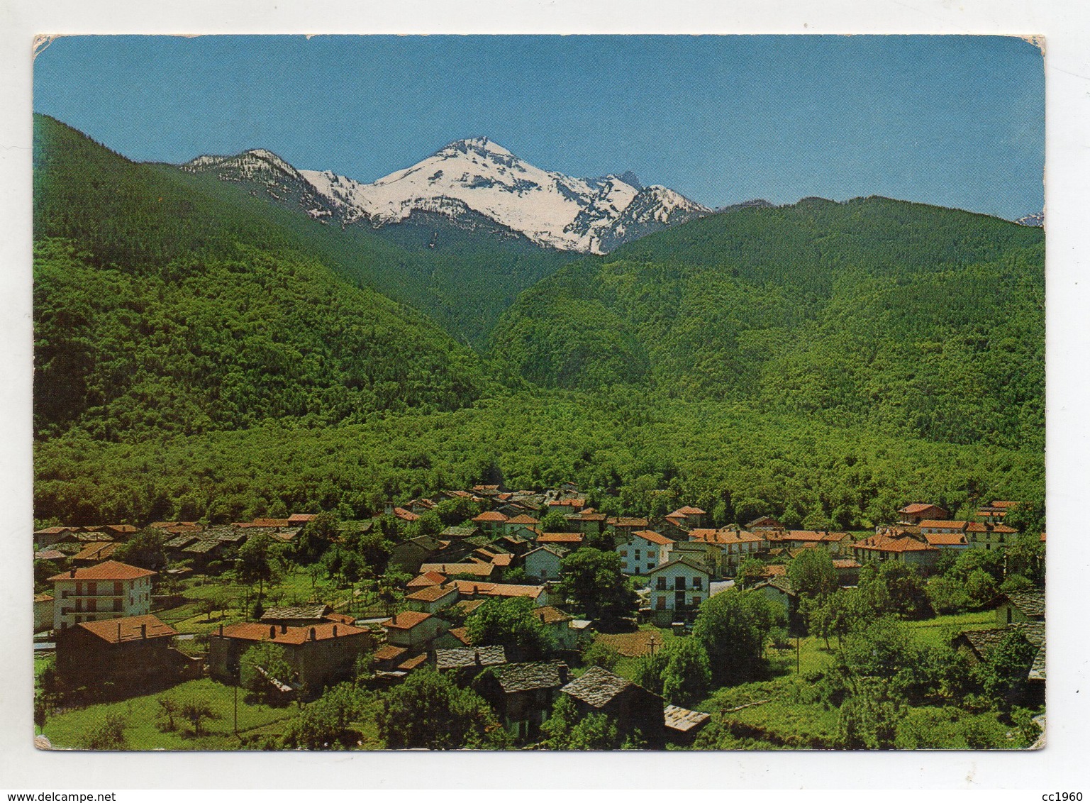 Mattie (Torino) - Borgata Gillo - Viaggiata Nel 1981 - (FDC9905) - Altri & Non Classificati