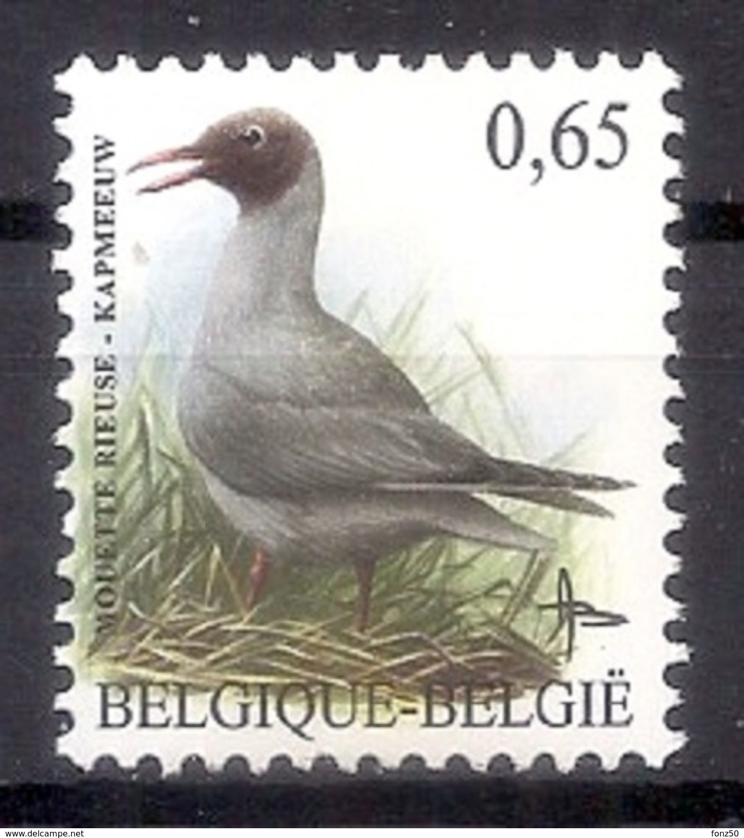 BELGIE * Buzin * Nr 3268 * Postfris Xx * HELDER FLUOR  PAPIER - 1985-.. Vögel (Buzin)