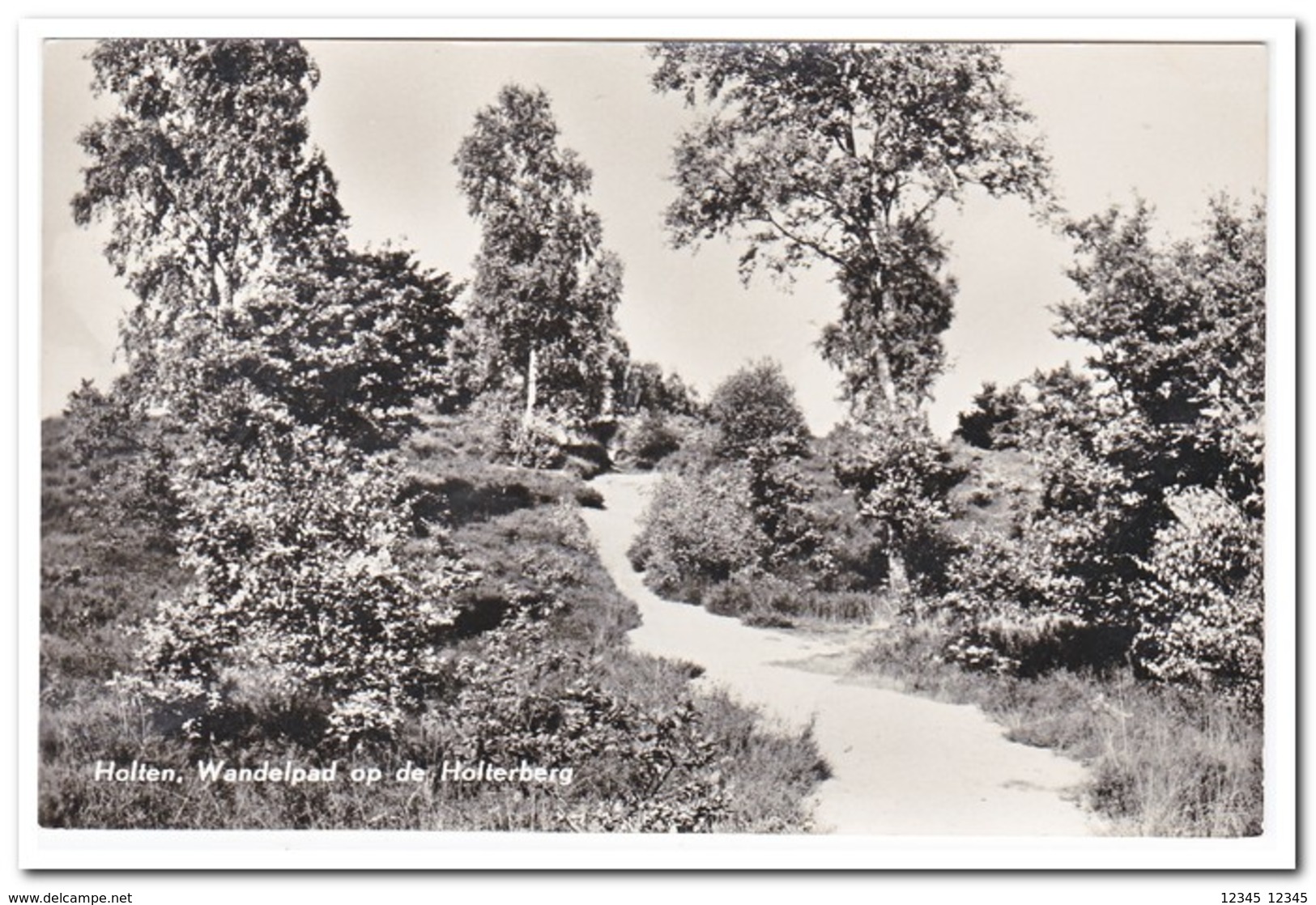 Holten, Wandelpad Op De Holterberg - Holten