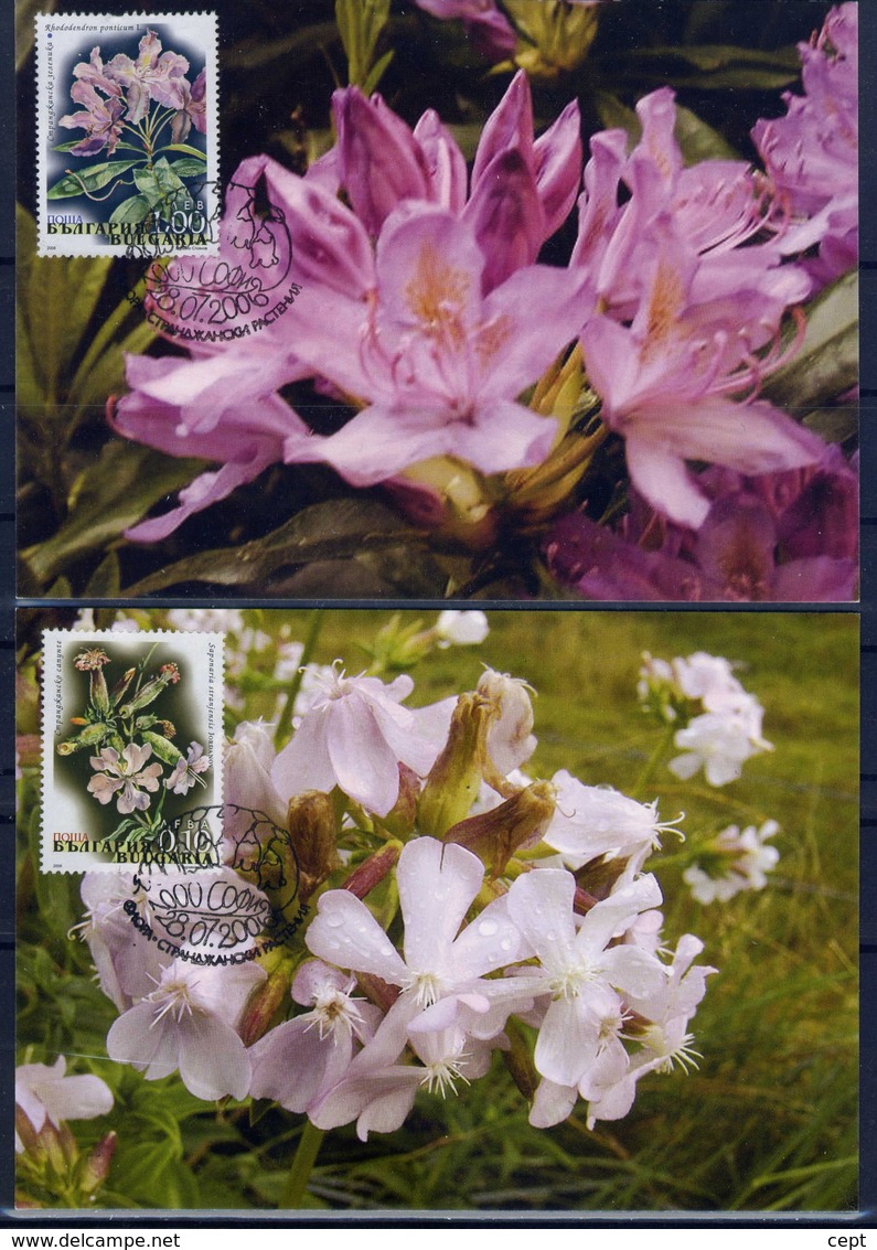 Flowers From Strandja - Bulgaria / Bulgarie 2006 -  4 MC - Other & Unclassified