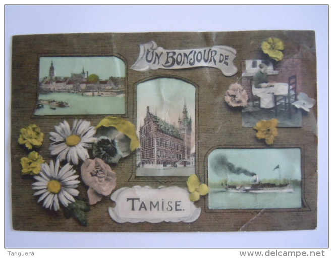 Temse Temsche Tamise Un Bonjour De Multi-view Kaart Is Geplooid Zie Photo Gelopen 1911 E.D.I. - Temse