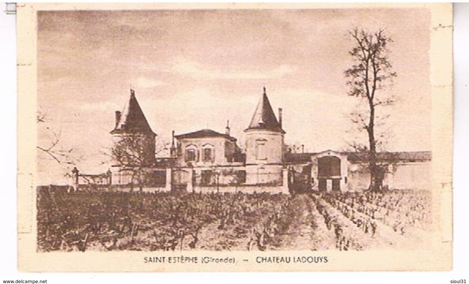 33 SAINT ESTEPHE CHATEAU LADOUY   GG217 - Autres & Non Classés