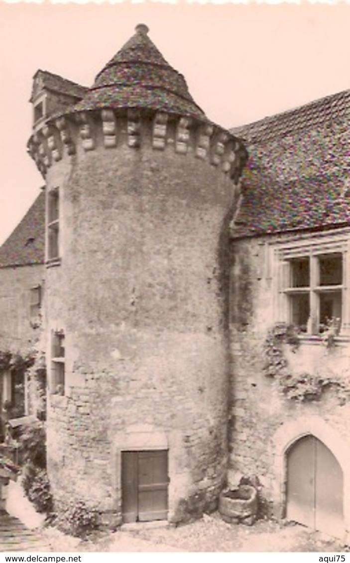 Vieux Château De SERGEAC  XIIIe S - Autres & Non Classés