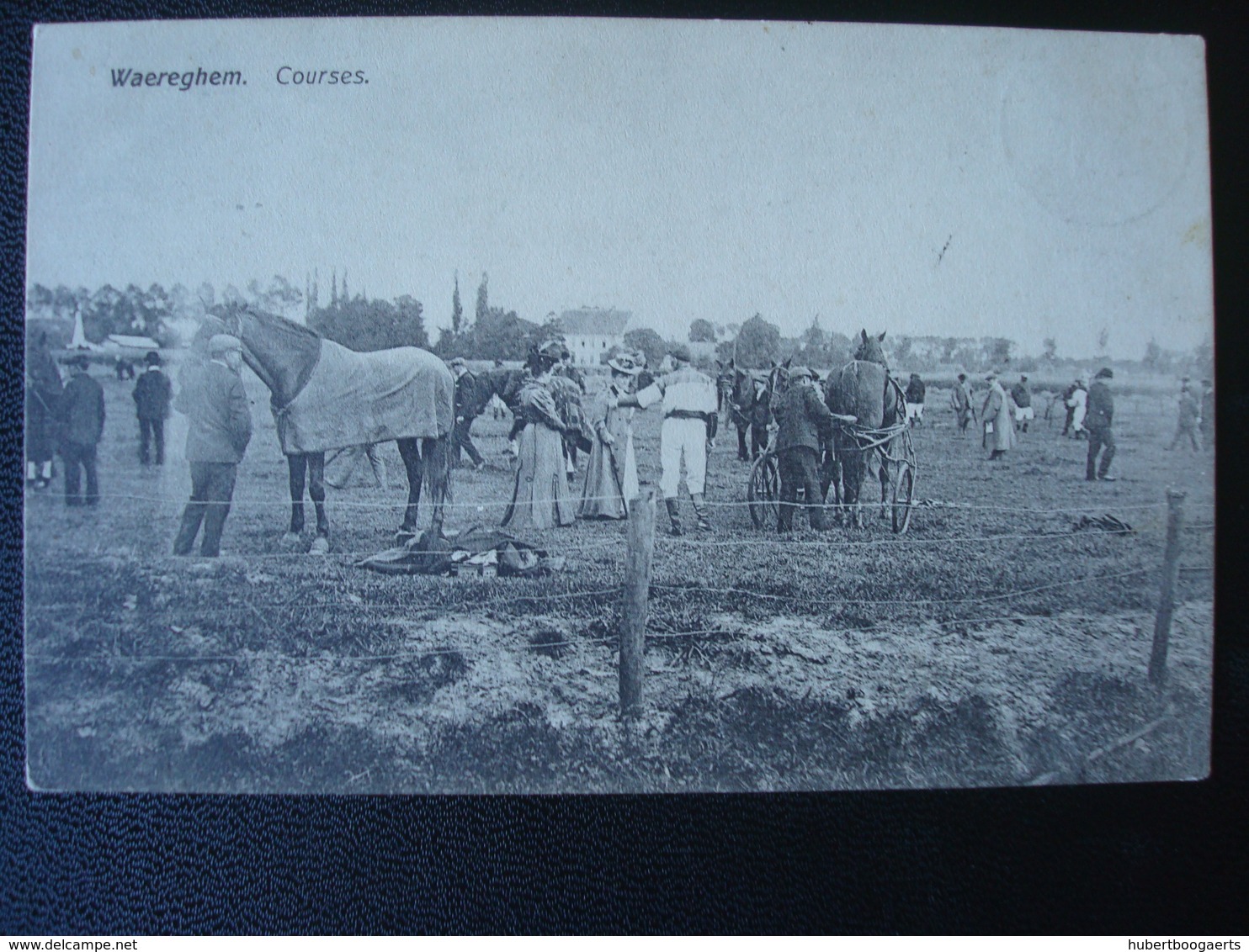 WAREGEM : Les Courses Et Les Sulkys  En 1908 - Waregem