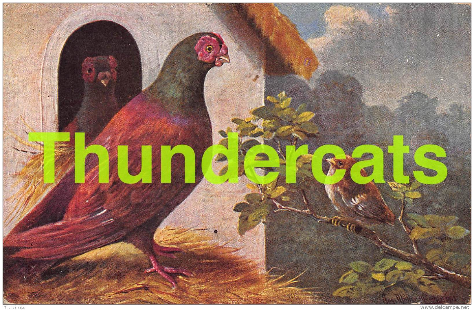 CPA ILLUSTRATEUR   ARTIST SIGNED AUGUST MULLER MUNCHEN BIRDS OISEAUX - Mueller, August - Munich