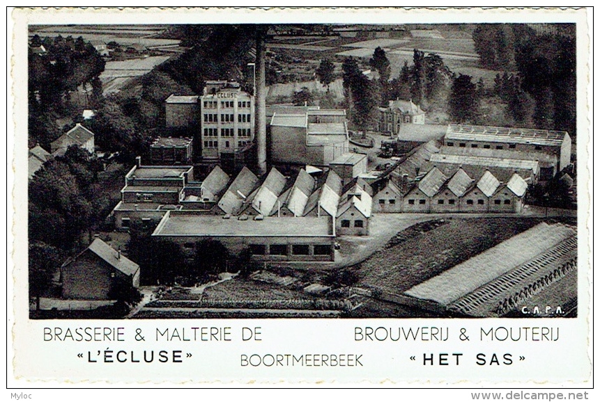 Boortmeerbeek. Brasserie Et Malterie De "L'Ecluse.   Brouwerij &amp; Mouterij "Het Sas" - Boortmeerbeek