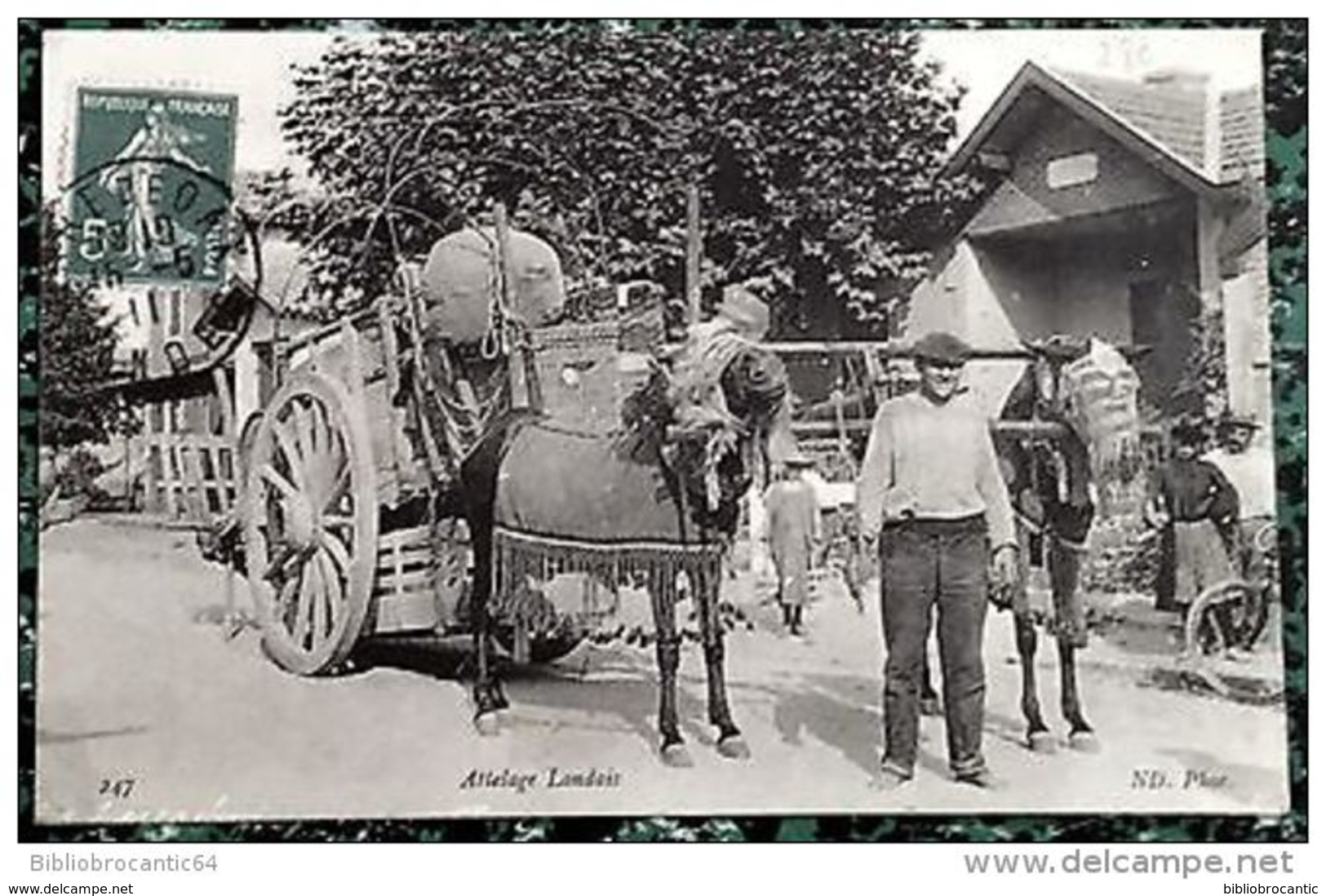 D33 - ARCACHON < ATTELAGE LANDAIS  DEMENAGEUR AMBULANT (gros Plan) - Arcachon