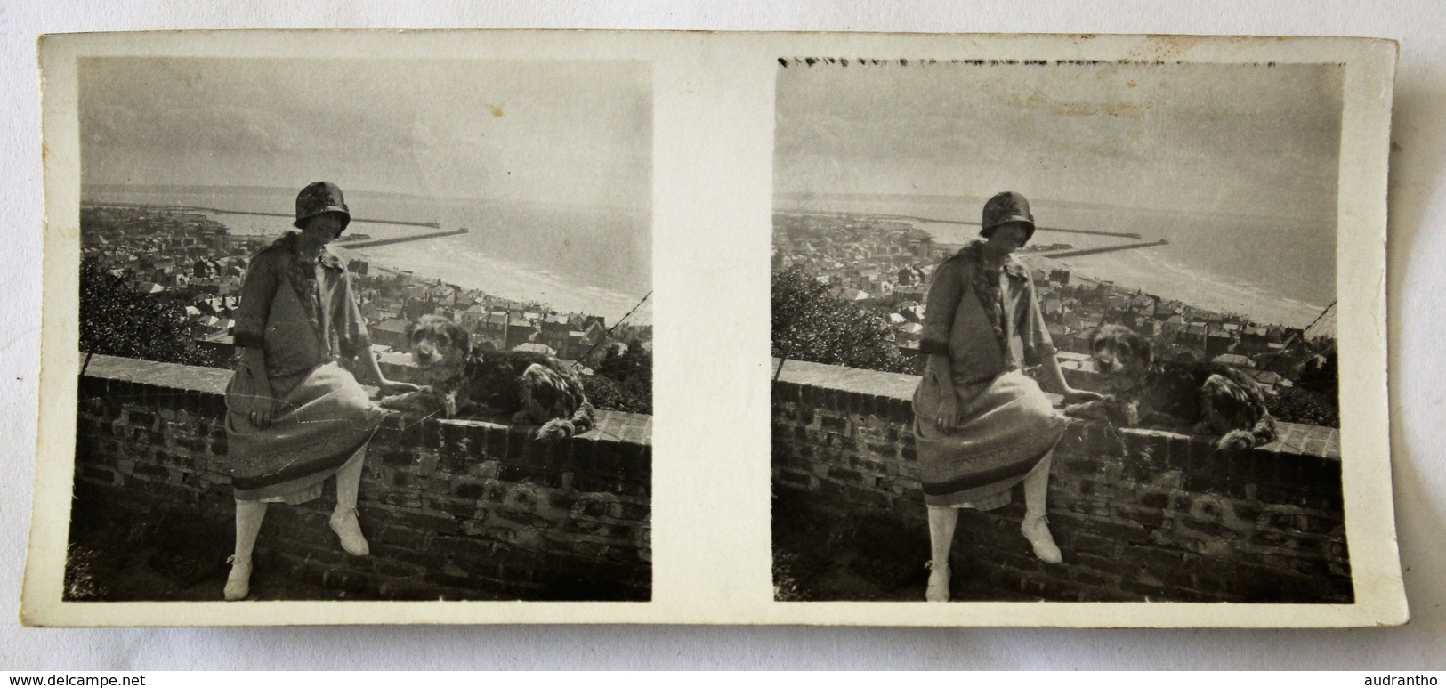 Photo Stéréoscopique Originale Le Havre 1927 Entrée Du Port Vu De La Terrasse Du Chapeau De Napoléon - Stereoscopic