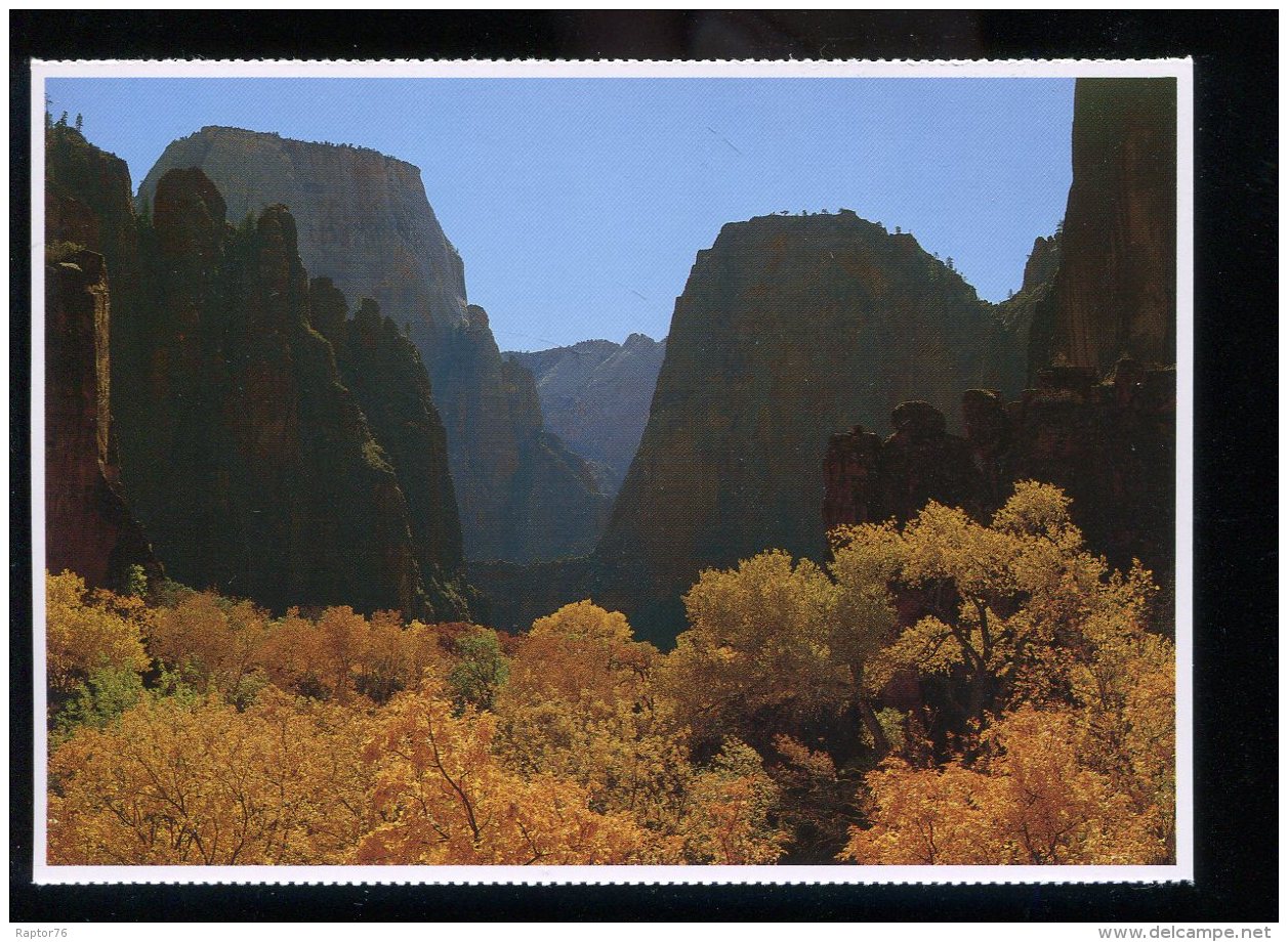 CPM Neuve ZION National Park The Temple Of Sinawava - Zion