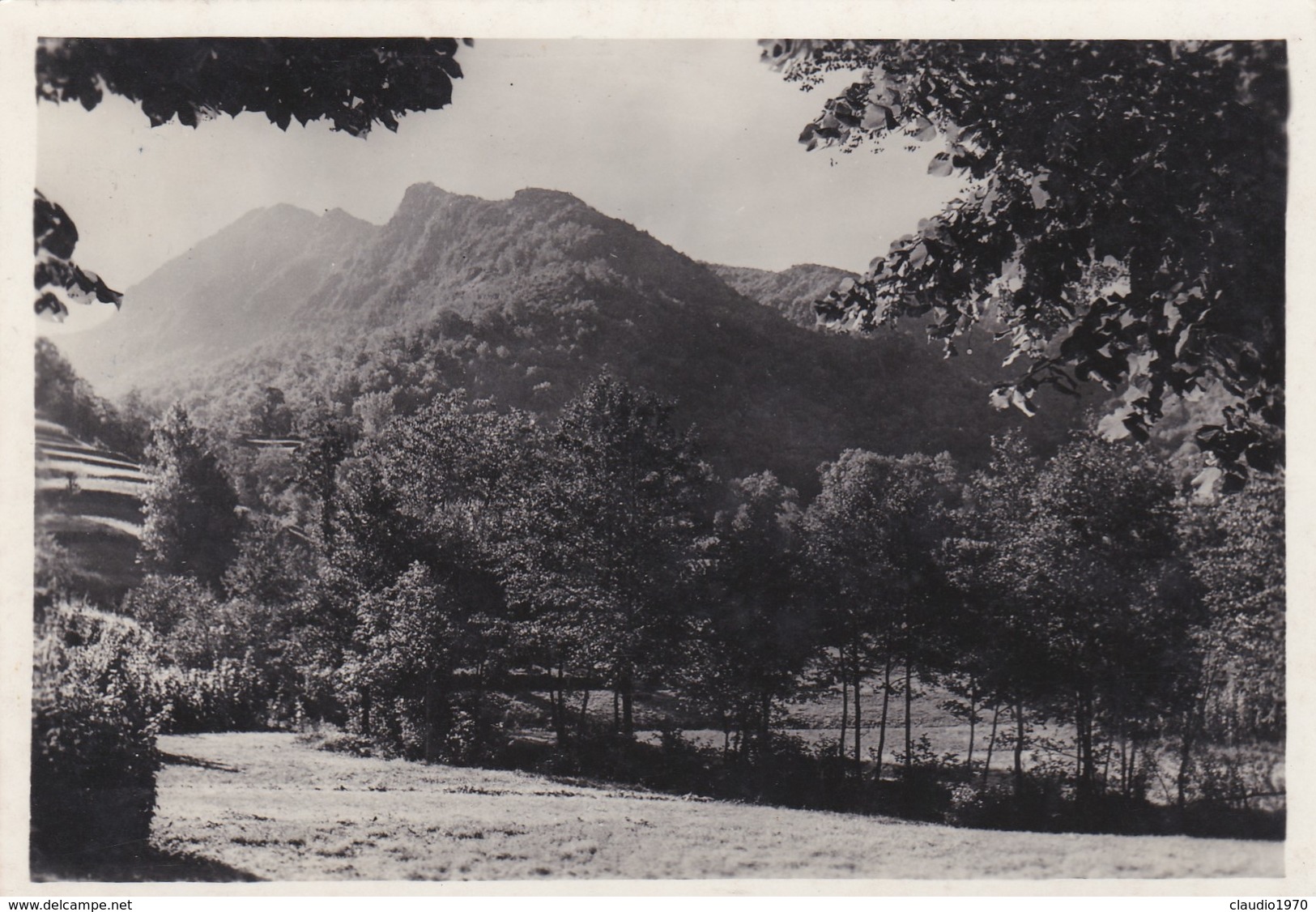 CARTOLINA - POSTCARD - GENOVA - FONTANIGORDA - MONTE RIPA M. 1290 - STAZIONE CLIMATICA M. 820 S.L.M. - Genova