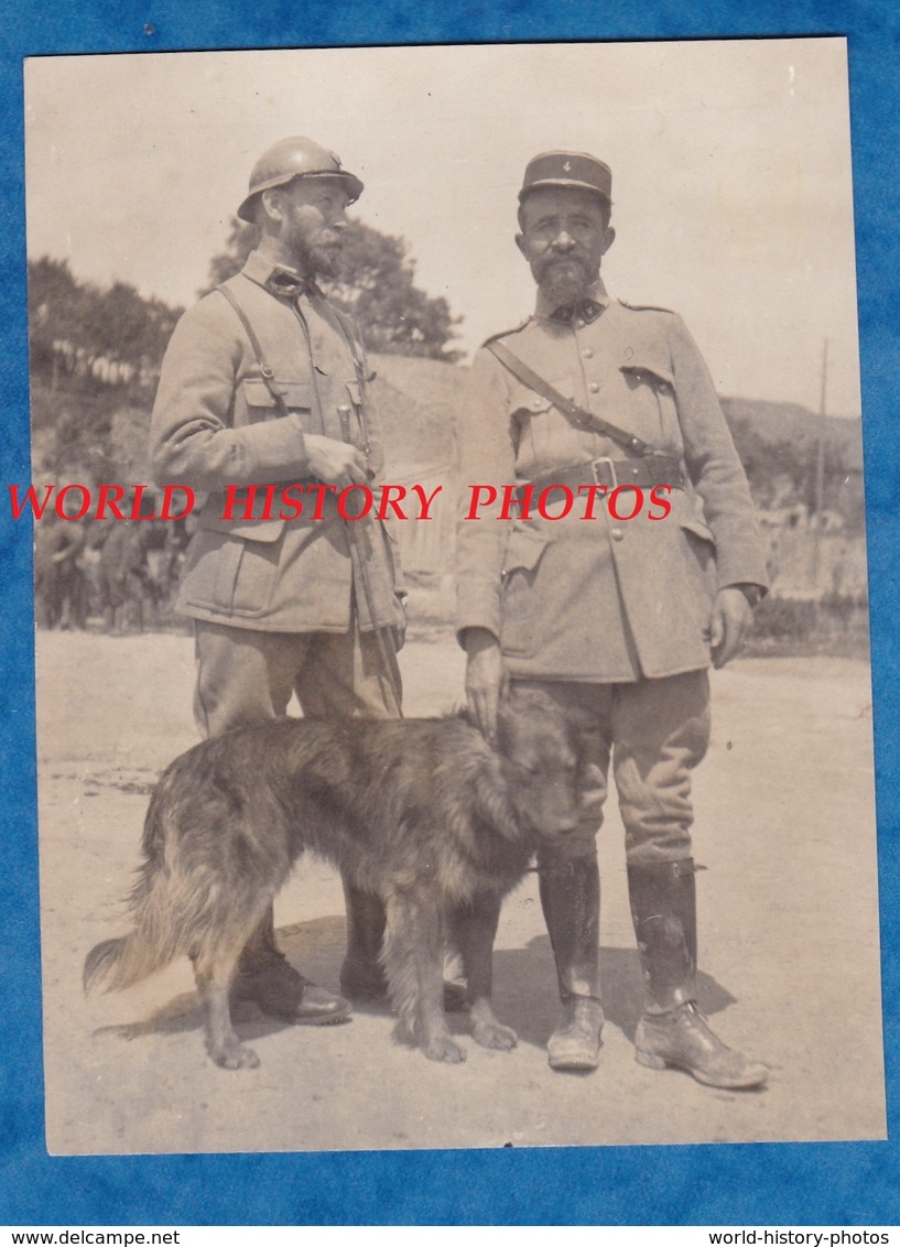 Photo Ancienne - Portrait De Poilu Avec Chien Mascotte ? - 4e Régiment à Identifier - Casque & Uniforme Officier WW1 - Guerre, Militaire