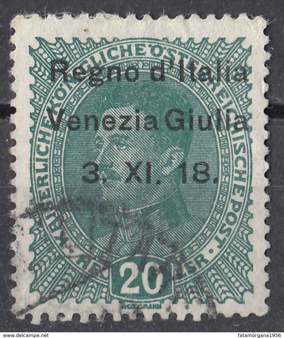 VENEZIA GIULIA, OCCUPAZIONE ITALIANA - 1918 - Unificato 7, Usato. - Venezia Giulia