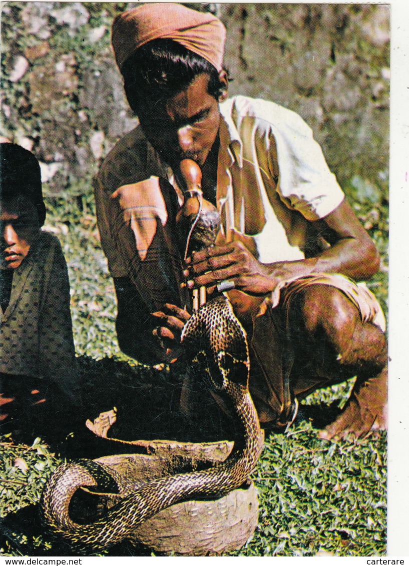 ASIE,SRI LANKA,CEYLON,CEYLAN,métie R,snake Charmer ,dresseur Et Charmeur De Serpent,prise De Risque,rare - Sri Lanka (Ceylon)