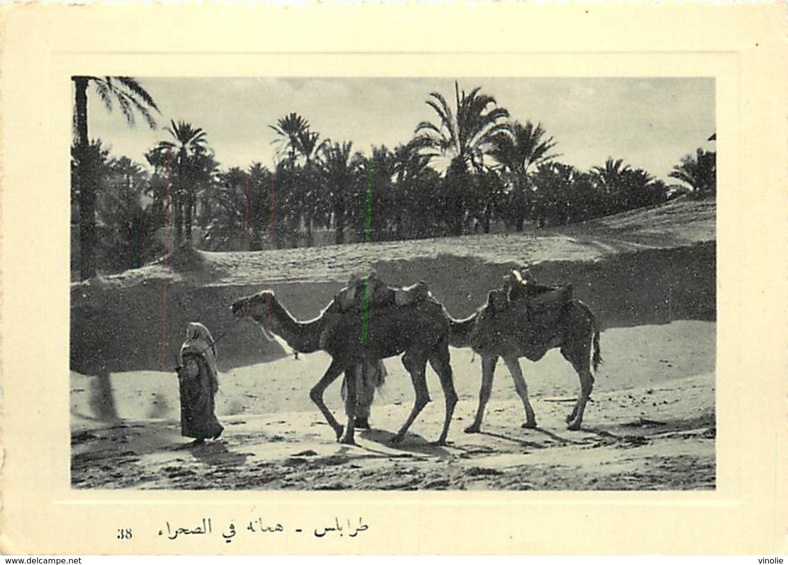 PIE18-T-2901 : TRIPOLI. CAMEL-DRIVERS IN THE DESERT - Libye