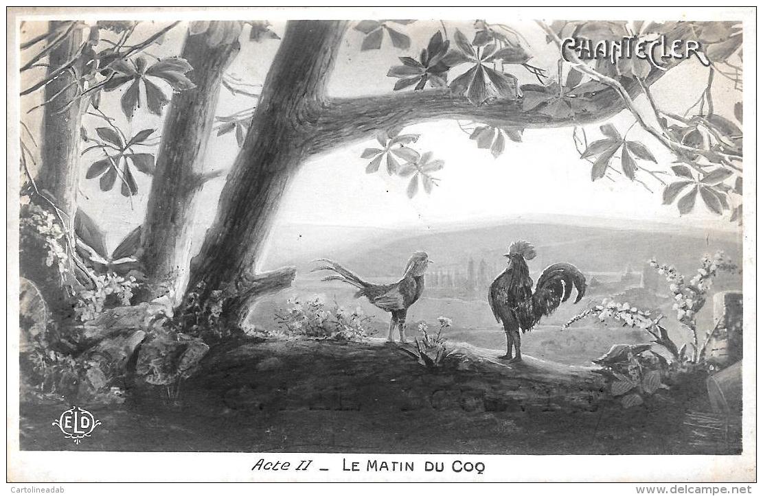 [DC11975] CPA - GALLI - CHANTECLER - ACTE II - LE MATIN DU COQ - Non Viaggiata - Old Postcard - Altri & Non Classificati