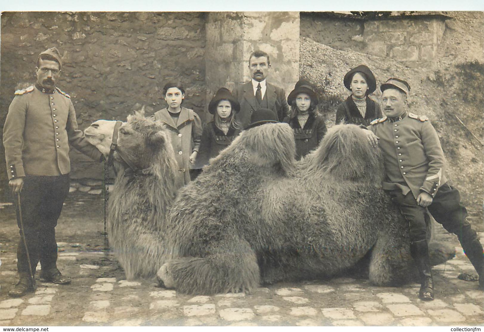 CARTE PHOTO CHAMEAU - Autres & Non Classés