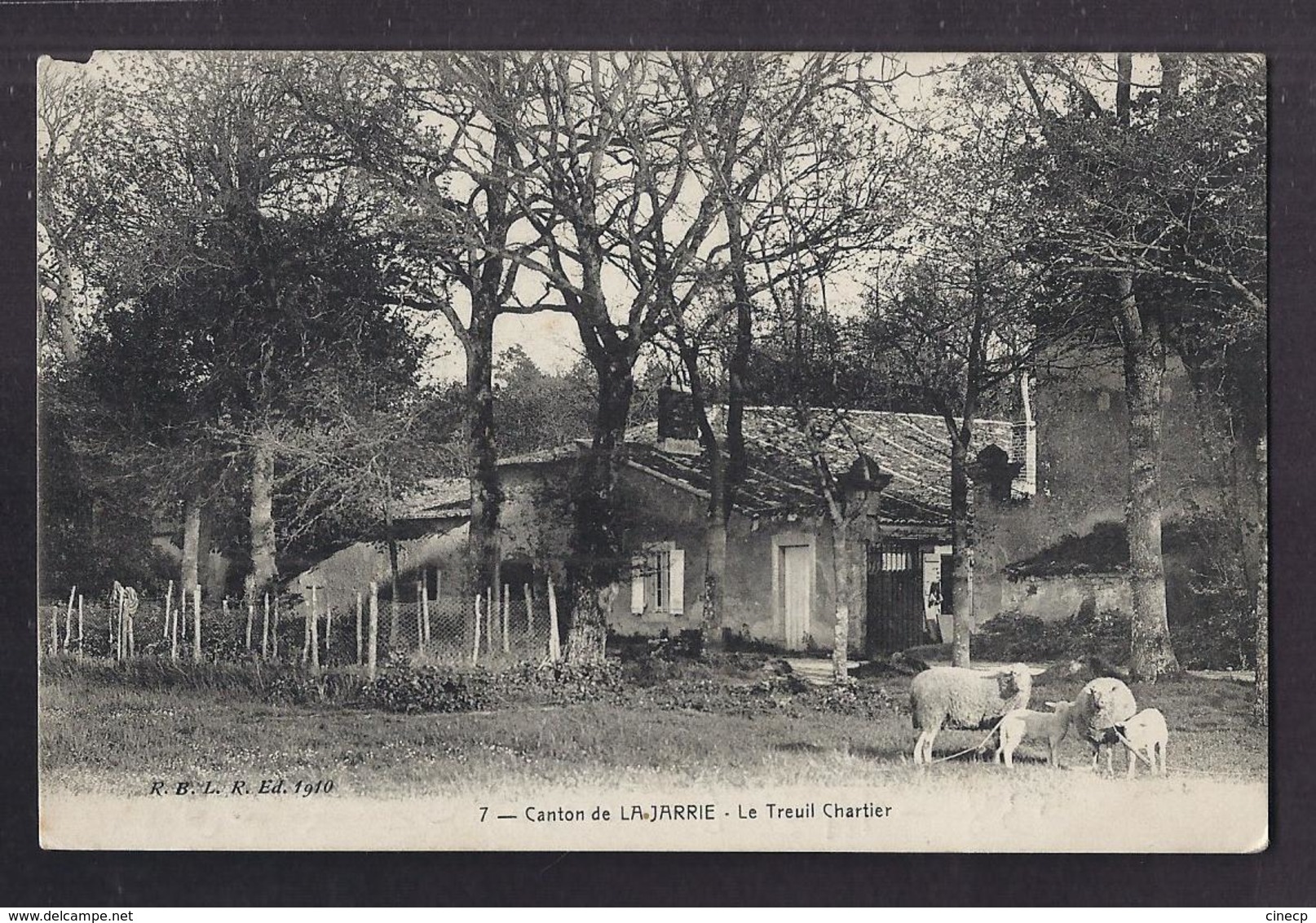 CPA 17 - LA JARRIE - Canton De La Jarrie - Le Treuil Chartier - TB PLAN Maison Etablissement + Moutons Au 1er Plan - Sonstige & Ohne Zuordnung