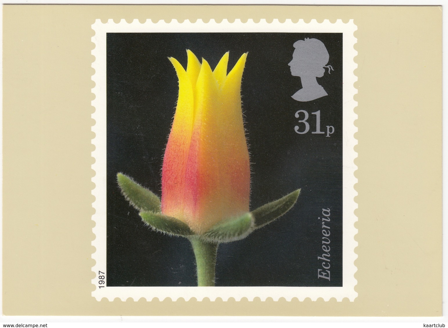 Echeveria - Flowers  (31p Stamp) -  1987 - (U.K.) - Postzegels (afbeeldingen)