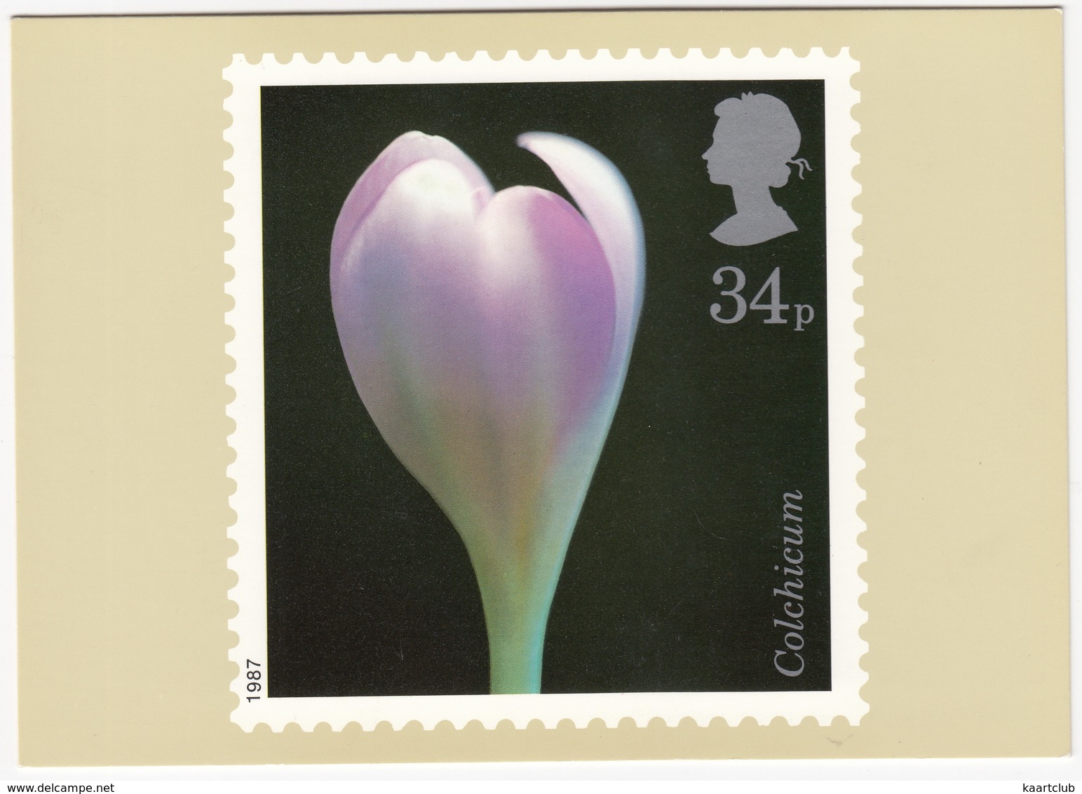 Colchicum - Flowers  (34p Stamp) -  1987 - (U.K.) - Postzegels (afbeeldingen)