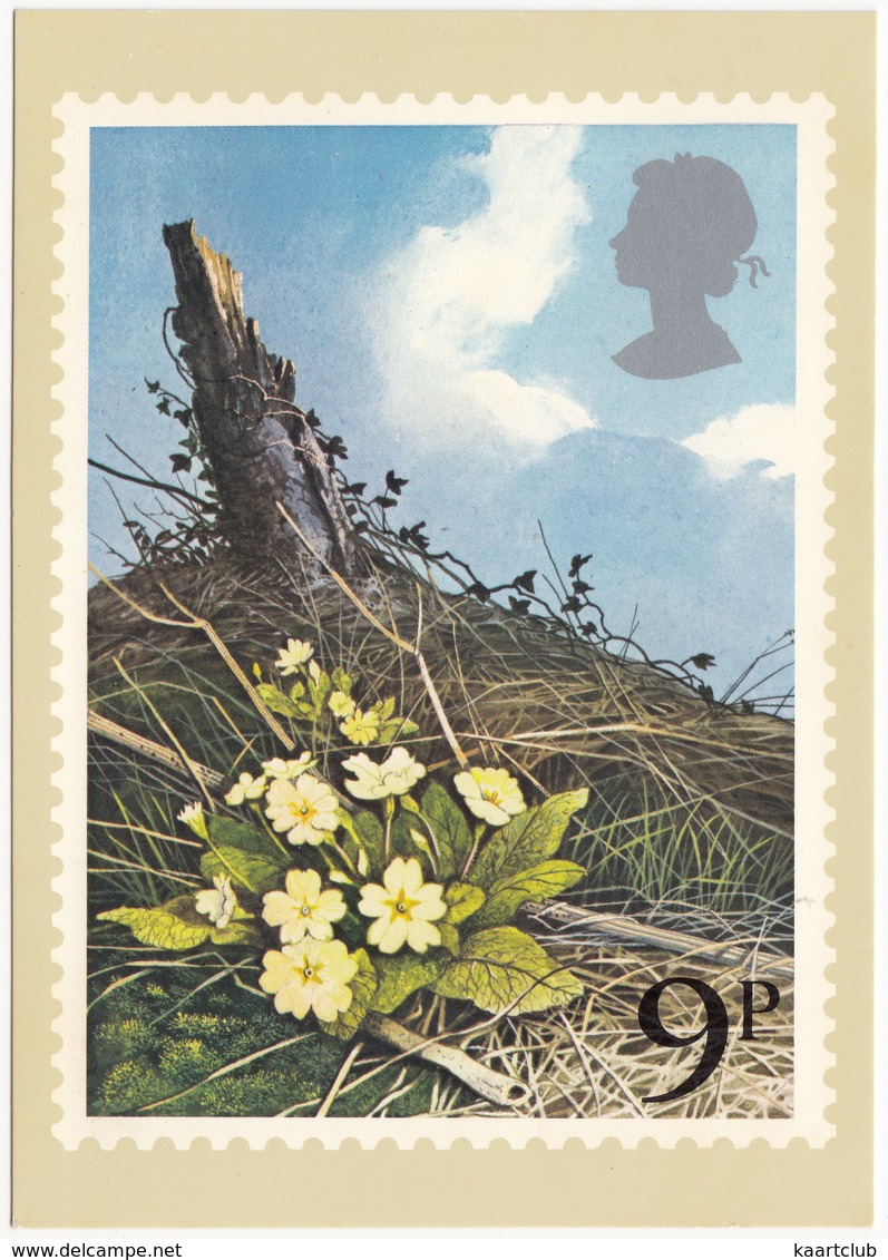 Primroses  - British Flowers  (9p Stamp) -  1979 - (U.K.) - Postzegels (afbeeldingen)