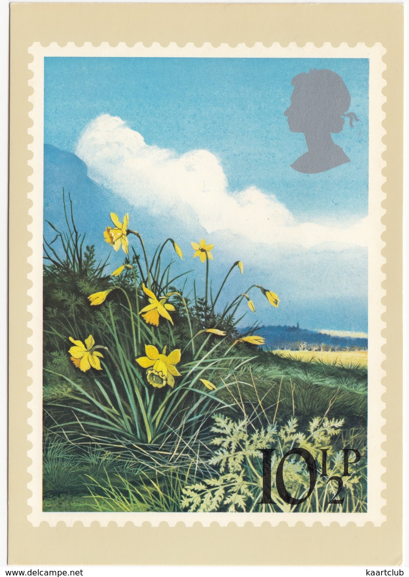 Daffodils  - British Flowers  (10,5p Stamp) -  1979 - (U.K.) - Postzegels (afbeeldingen)