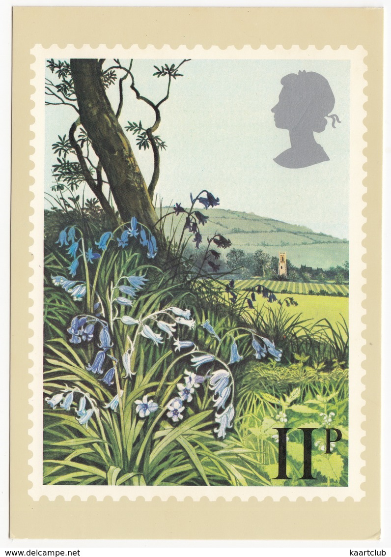 Bluebells  - British Flowers  (11p Stamp) -  1979 - (U.K.) - Postzegels (afbeeldingen)