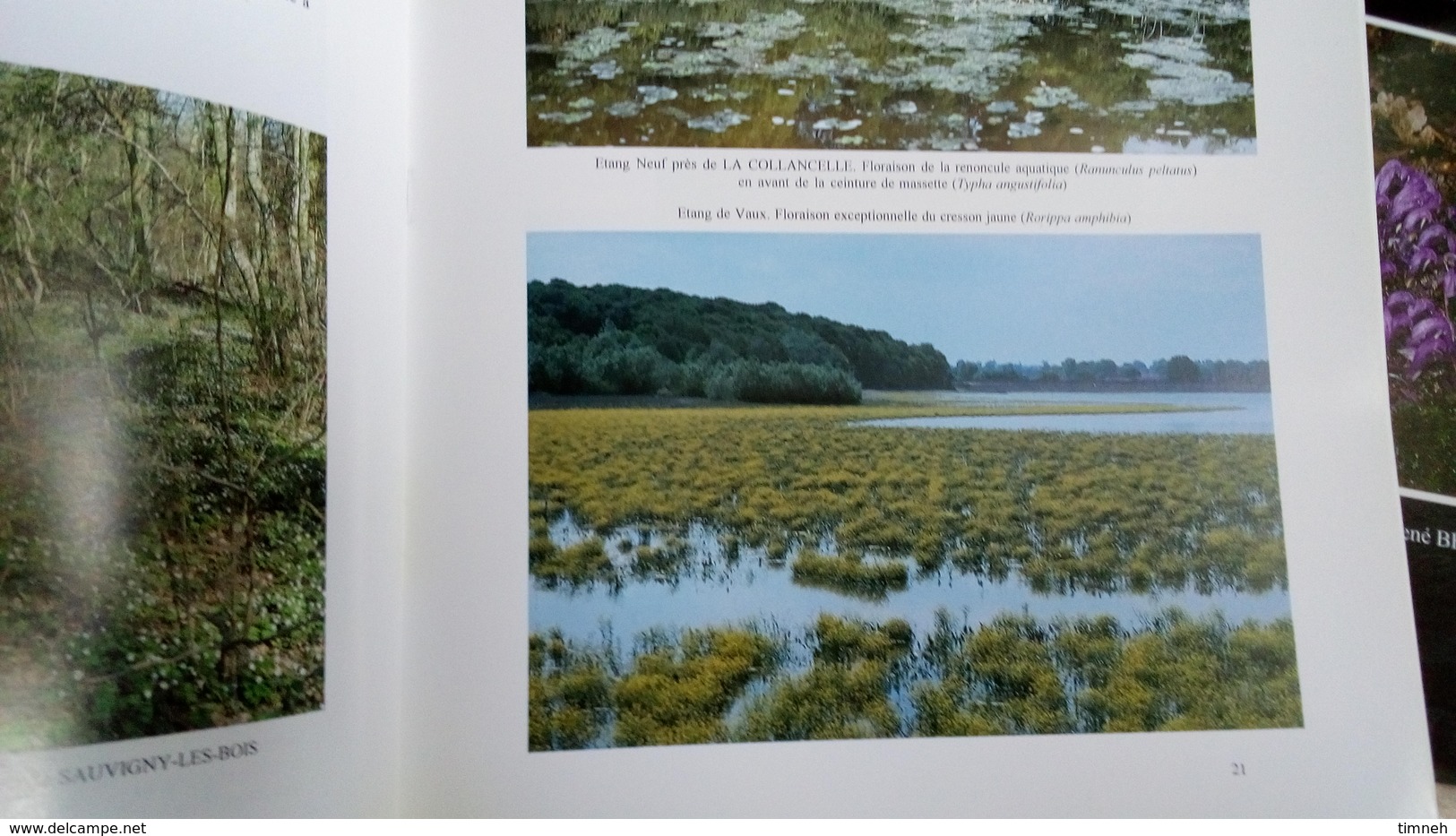 CAMOSINE N°87/93 - 2 Tomes LA FLORE NIVERNAISE -  Les Annales Du Pays Nivernais 1997 - Bourgogne