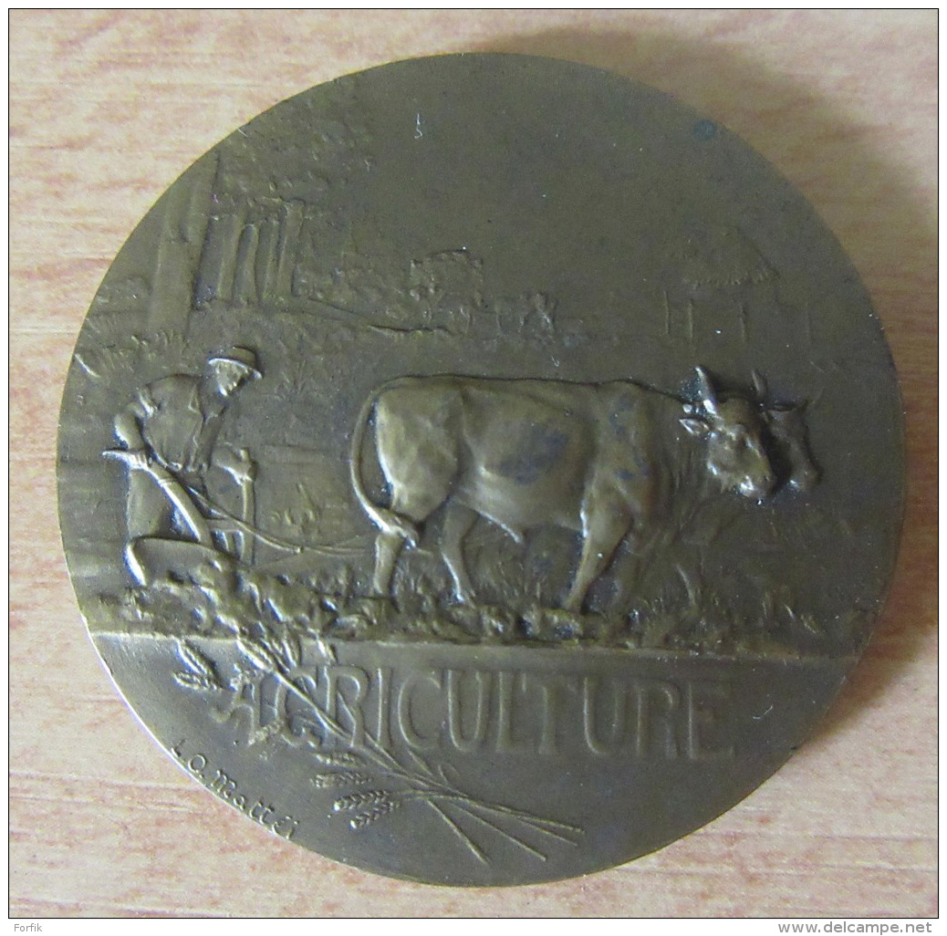 France - Médaille Agriculture - Comice Agricole Du Canton De Blanzac - Bronze - Signée L. O. Mattéi - Non-datée - Autres & Non Classés