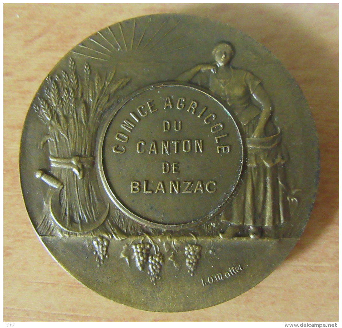 France - Médaille Agriculture - Comice Agricole Du Canton De Blanzac - Bronze - Signée L. O. Mattéi - Non-datée - Autres & Non Classés