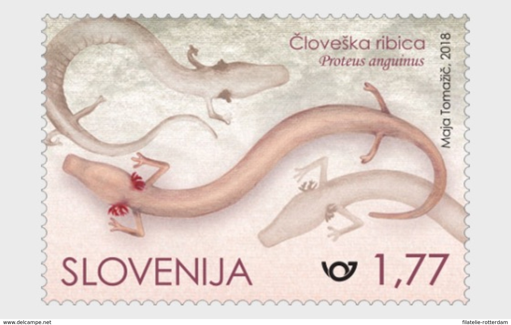 Slovenië / Slovenia - Postfris / MNH - Proteus Anguinus 2018 - Slovenië