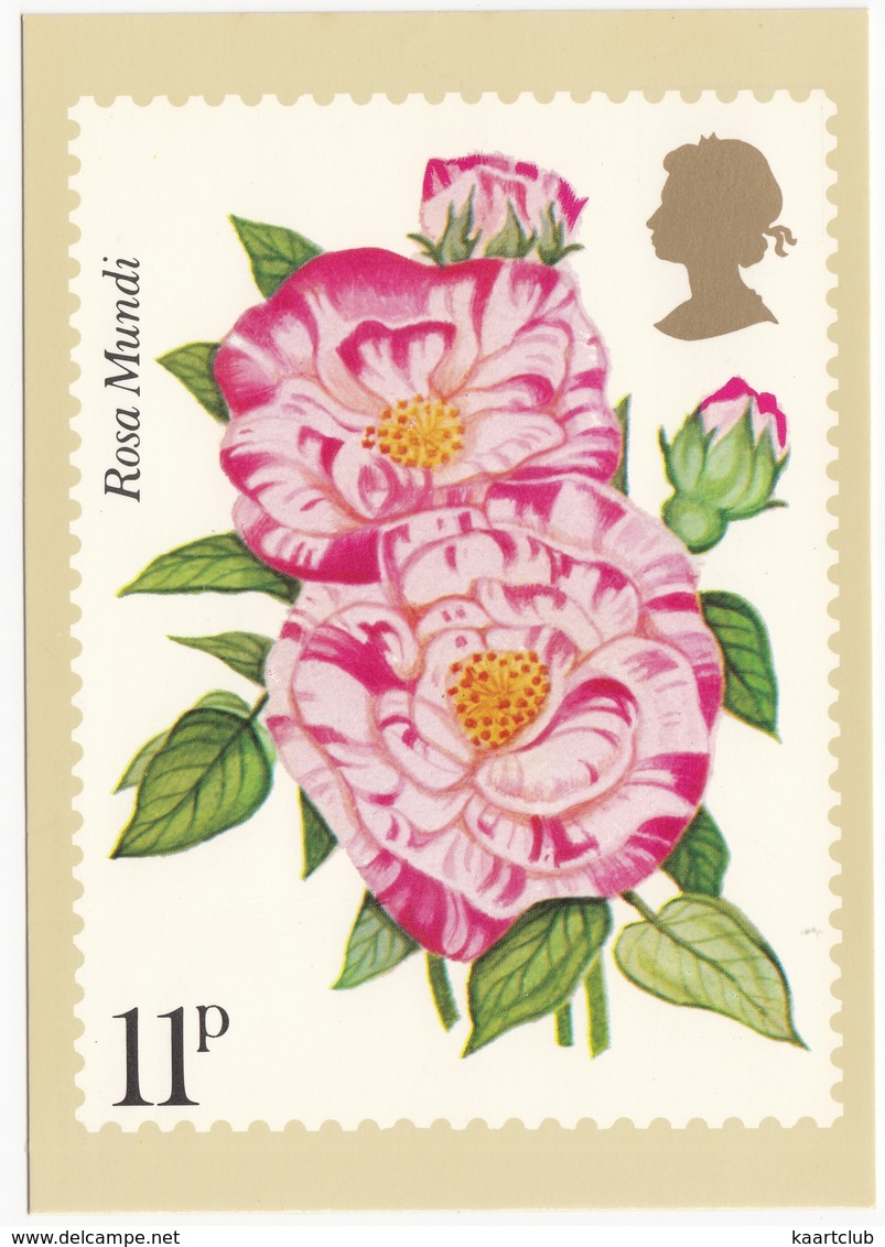 'Rosa Mundi' - Rose  (11p Stamp) -  1979 - (U.K.) - Postzegels (afbeeldingen)