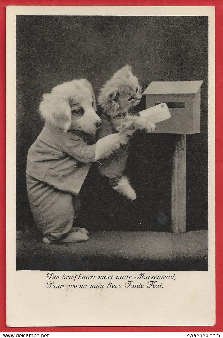NL.- Die Briefkaart Moet Naar Muizenstad, Daar Woont Mijn Lieve Tante Kat. Poes. Hond. 1936 - Humor