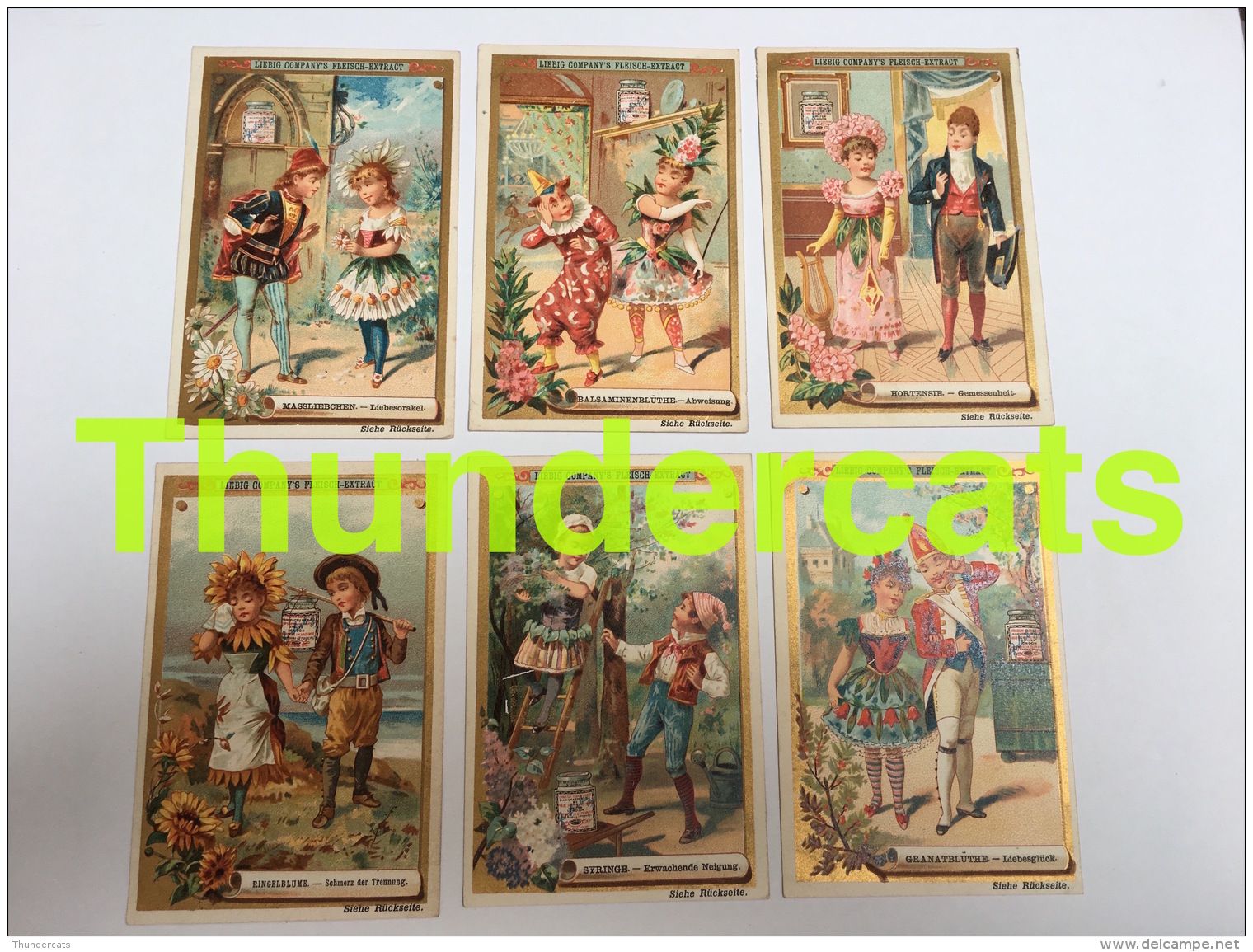 LIEBIG SERIE 274  COMPLET / COMPLETE SET 6 CHROMO  DEUTSCH ALLEMAND - Liebig