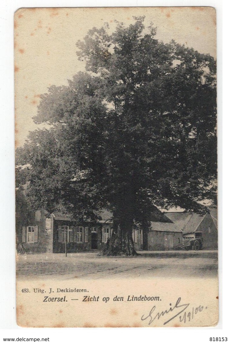 483. Zoersel  -  Zicht Op Den Lindeboom 1906 - Zoersel