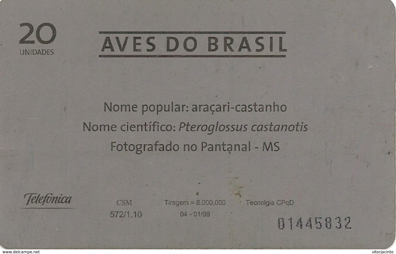 Telefónica - Aves Do Brasil - Araçari-castanho - (Pteroglossus Castanotis) - Brasile