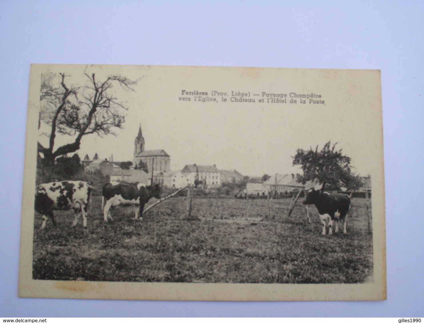 Cpa Ferrieres 1946 Paysage Champêtre Vers L' Eglise , Voir Vaches - Ferrières