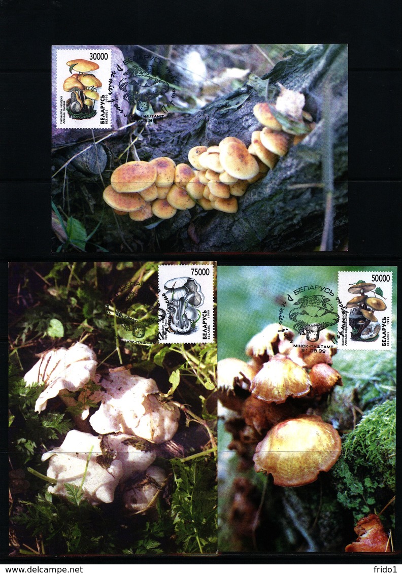 Belarus 1999 Mushrooms Maximumcards - Pilze