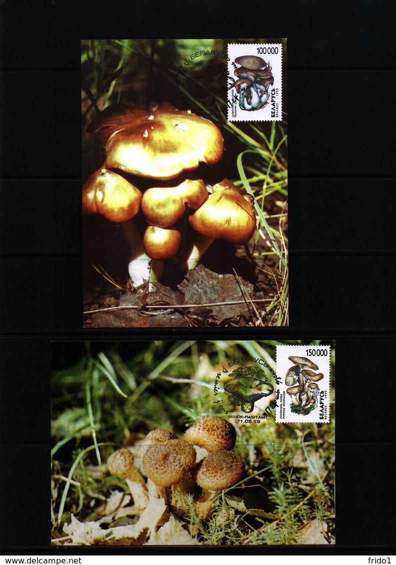 Belarus 1999 Mushrooms Maximumcards - Pilze